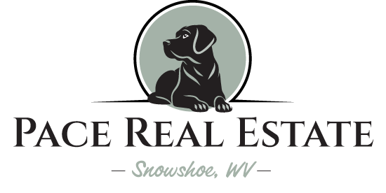 Pace Real Estate Logo